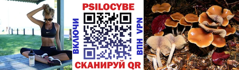 Купить  Еманжелинск  Псилоцибиновые грибы GOLDEN TEACHER 